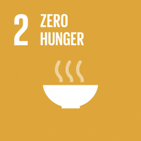 SDG Goal 1
