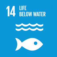 SDG Goal 5