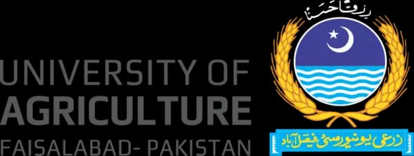 University of Agriculture Faisalabad - Pakistan